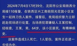 沈阳网友爆料新闻最新消息,最新突发事件引发关注