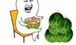 娱乐吃瓜所,揭秘明星幕后故事